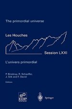 primordial universe - L'univers primordial