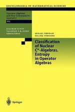Classification of Nuclear C*-Algebras. Entropy in Operator Algebras