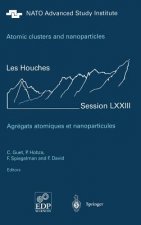 Atomic clusters and nanoparticles. Agregats atomiques et nanoparticules
