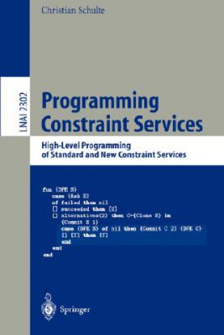 Programming Constraint Services
