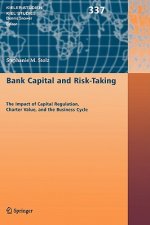 Bank Capital and Risk-Taking