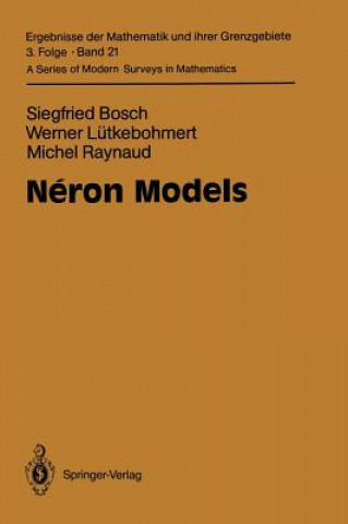 Neron Models