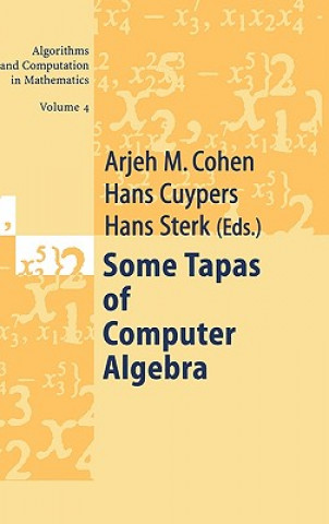 Some Tapas of Computer Algebra