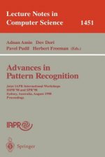 Advances in Pattern Recognition