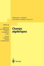 Champs Algebriques