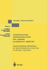 Diophantine Approximation on Linear Algebraic Groups