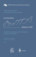 Aspects Topologiques De La Physique En Basse Dimension. Topological Aspects of Low Dimensional Systems