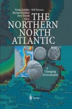 Northern North Atlantic