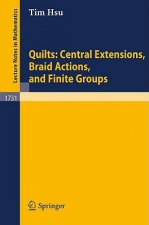 Quilts: Central Extensions, Braid Actions, and Finite Groups