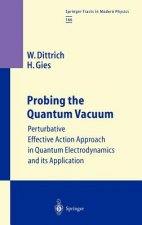 Probing the Quantum Vacuum