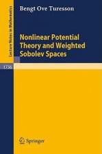 Nonlinear Potential Theory and Weighted Sobolev Spaces