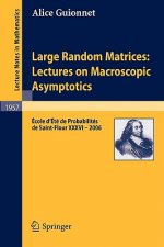 Large Random Matrices: Lectures on Macroscopic Asymptotics