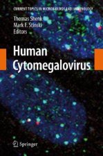 Human Cytomegalovirus