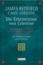 Die Erkenntnisse von Celestine