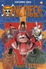 One Piece 20