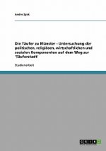 Taufer zu Munster - Untersuchung der politischen, religioesen, wirtschaftlichen und sozialen Komponenten auf dem Weg zur 'Tauferstadt'