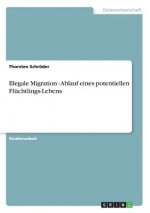 Illegale Migration  -  Ablauf eines potentiellen Flüchtlings-Lebens