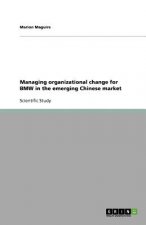 Managing Organizational Change for BMW in the Emerging Chinese Market