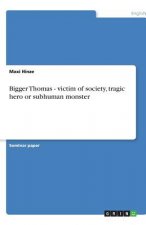Bigger Thomas - victim of society, tragic hero or subhuman monster