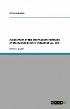 Assessment of the internal environment of Matsushita Electric Industrial Co., Ltd.