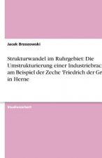 Strukturwandel im Ruhrgebiet: Die Umstrukturierung einer Industriebrache am Beispiel der Zeche 'Friedrich der Große' in Herne