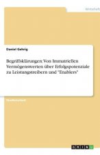 Begriffsklärungen: Von Immatriellen Vermögenswerten über Erfolgspotenziale zu Leistungstreibern und 