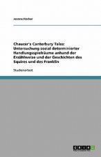 Chaucer's Canterbury Tales: Untersuchung sozial determinierter Handlungsspielräume anhand der Erzählweise und der Geschichten des Squires und des Fran