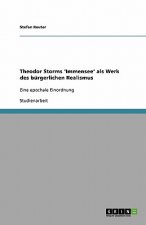 Theodor Storms 'Immensee' als Werk des burgerlichen Realismus