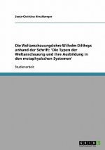 Weltanschauungslehre Wilhelm Diltheys anhand der Schrift