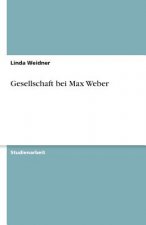 Gesellschaft bei Max Weber