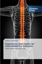 Ergonomics intervention for work-related low back pain