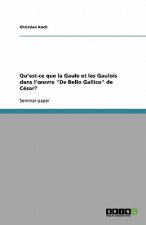 Qu'est-ce que la Gaule et les Gaulois dans l'oeuvre De Bello Gallico de Cesar?