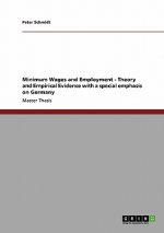 Minimum Wages and Employment - Theory and Empirical Evidence with a special emphasis on Germany