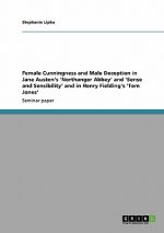 Female Cunningness and Male Deception in Jane Austen's 'Northanger Abbey' and 'Sense and Sensibility' and in Henry Fielding's 'Tom Jones'