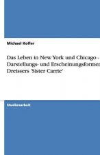 Leben in New York und Chicago - Darstellungs- und Erscheinungsformen in Dreissers 'Sister Carrie'