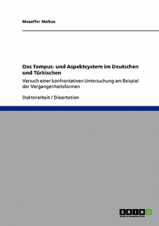 Tempus- und Aspektsystem im Deutschen und Turkischen