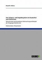 Tempus- und Aspektsystem im Deutschen und Turkischen