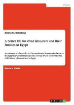 better life for child labourers and their families in Egypt