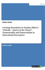 Crossing Boundaries in Stephan Elliott's 