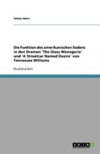 Funktion des amerikanischen Sudens in den Dramen 'The Glass Menagerie' und 'A Streetcar Named Desire' von Tennessee Williams