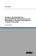Die Natur als Gegenbild von gesellschaftlichen Konformismus und Sittenkodex in  Theodor Storms Novelle 