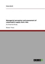 Managerial perception and assessment of catastrophic supply chain risks