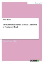 Environmental Impact of Jeans Laundries in Northeast Brazil