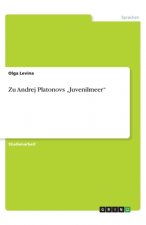 Zu Andrej Platonovs 