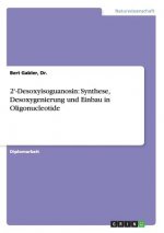 2'-Desoxyisoguanosin
