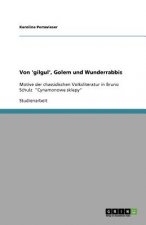 Von 'gilgul', Golem Und Wunderrabbis