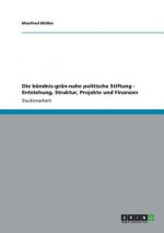 bundnis-grun-nahe politische Stiftung - Entstehung, Struktur, Projekte und Finanzen