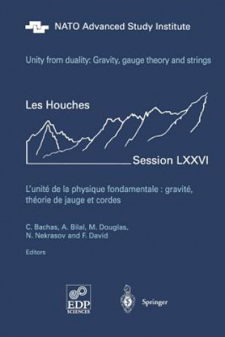Unity from Duality: Gravity, Gauge Theory and Strings