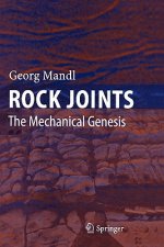 Rock Joints