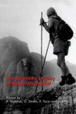 Scientific Legacy of Beppo Occhialini